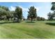 Lush greenspace on the property with a grass lawn and mature trees creating an inviting setting at 753 Oakmont Ave # 802, Las Vegas, NV 89109