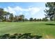 Expansive greenspace on the property with mature trees and a well-maintained grass lawn at 753 Oakmont Ave # 802, Las Vegas, NV 89109
