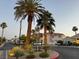 Street view lined with palm trees leading to homes at 855 N Stephanie St # 2311, Henderson, NV 89014
