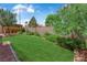 Lush backyard featuring a well-manicured lawn and mature trees, creating a private and serene outdoor oasis at 903 Billings St, Henderson, NV 89002