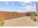 Low-maintenance backyard with decorative lizards on the wall and a desert landscape design at 10951 Stone Crossing Ave, Las Vegas, NV 89166