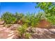 Private backyard featuring mature trees, a custom fire pit area, and meticulous landscaping at 11625 Cabo Del Verde Ave, Las Vegas, NV 89138