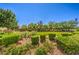Well-manicured common area with lush greenery, neatly trimmed hedges, and open green spaces at 11625 Cabo Del Verde Ave, Las Vegas, NV 89138
