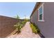 Landscaped side yard with brick pathway and lush greenery at 12565 Huckleberry Oak Ave, Las Vegas, NV 89138