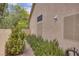 Beige textured home exterior with gravel landscaping and mature bushes creating a natural visual barrier at 1845 Candle Bright Dr, Henderson, NV 89074