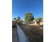 Grassy backyard with a mature shade tree and view of the home's exterior, partial fence and shrubs at 2306 Jared Ct, North Las Vegas, NV 89032