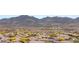 Scenic aerial view of a community with houses, roads, and mountains in the background at 2578 Skylark Trail St, Henderson, NV 89044