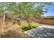 A backyard featuring low-maintenance landscaping, mature trees, a hammock, and a patio at 305 Napa Hills Dr, Las Vegas, NV 89144