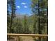 Stunning mountain views framed by lush trees seen from the expansive backyard deck at 4178 Matterhorn Way, Las Vegas, NV 89124