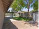 Expansive backyard featuring a sparkling pool, covered patio, and mature trees at 6436 Vinecrest Ave, Las Vegas, NV 89108