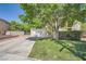 Well-maintained front yard featuring a green lawn, mature tree, and a spacious driveway leading to the garage at 1116 Avellino Ln, Las Vegas, NV 89144