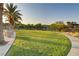 Well-manicured community park with lush lawn, mature palm trees and covered outdoor seating at 15 Reflection Bay Dr, Henderson, NV 89011