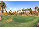 Expansive lush green golf course lined with mature palm trees, offering a scenic and enjoyable experience at 15 Reflection Bay Dr, Henderson, NV 89011