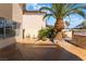 Spacious backyard featuring a large palm tree, patio area, and well-maintained landscaping at 5779 Baffy Cir, Las Vegas, NV 89142