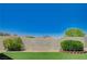 Well-maintained backyard featuring artificial grass, desert landscaping, mature trees, and privacy wall at 983 Cutter St, Henderson, NV 89011