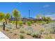 Beautifully landscaped community area with seating, perfect for relaxing and socializing at 2651 Deep Canyon St, Henderson, NV 89044