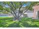 Lush backyard with a large tree, pool in background, offering a private and serene outdoor space at 4075 E Oquendo Rd, Las Vegas, NV 89120