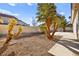 Landscaped backyard featuring desert plants, palm trees, and a concrete patio with furniture at 433 Old Palms Dr, Las Vegas, NV 89123