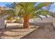Backyard featuring a mature palm tree and patio with desert landscaping at 433 Old Palms Dr, Las Vegas, NV 89123