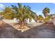 Backyard with mature palm trees, desert landscaping, and a concrete patio at 433 Old Palms Dr, Las Vegas, NV 89123