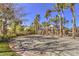 Community basketball court surrounded by palm trees and lush landscaping at 722 Descartes Ave, Henderson, NV 89002