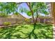 Backyard features a manicured lawn, mature landscaping and privacy wall at 8113 Danaides Ct, Las Vegas, NV 89131