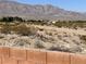 Wide open backyard with scenic mountain views at 8616 Willow Cabin St, Las Vegas, NV 89131