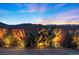Backyard showcasing lush desert landscaping with landscape lighting at dusk at 10431 Seelos St, Las Vegas, NV 89178