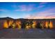 Well-lit backyard with desert landscaping and a tall privacy wall at 10431 Seelos St, Las Vegas, NV 89178