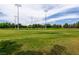 Open grassy field with overhead lighting, surrounded by trees and greenery at 1413 Gentle Brook St, North Las Vegas, NV 89084
