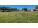 Spacious community park with lush green grass, mature trees, and a playground in the distance at 405 Prairie Moon Ave, North Las Vegas, NV 89084
