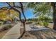 Park area with mature trees, picnic table, and paved walkway is the perfect spot to enjoy the outdoors at 405 Prairie Moon Ave, North Las Vegas, NV 89084