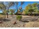 Natural desert park featuring drought tolerant plants, meandering footpaths, and native rock landscaping at 405 Prairie Moon Ave, North Las Vegas, NV 89084