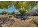 Serene park setting with mature trees, walking paths, and native landscaping, providing a tranquil escape at 405 Prairie Moon Ave, North Las Vegas, NV 89084