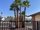 Tall palm trees in the front yard, behind a black metal gate at 5821 Santa Catalina Ave, Las Vegas, NV 89108