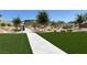 Lush community grounds, featuring well-maintained landscaping, walking path, and seating areas at 7107 Tilligerry St, North Las Vegas, NV 89084