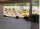 Covered patio featuring potted plants and views of the well-maintained desert landscaping at 10816 Elm Ridge Ave, Las Vegas, NV 89144