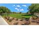 Expansive green space with mature trees, perfect for picnics, recreation, and enjoying the outdoors at 1794 Morro Vista Dr, Las Vegas, NV 89135