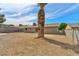 Expansive backyard featuring mature palm tree, block wall perimeter, and a detached structure at 239 Concho Dr, Henderson, NV 89015