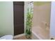 Bathroom features a shower with curtain, a window shade, and a toilet at 2787 Sunken Ship St, Laughlin, NV 89029