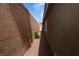 Side yard of home features gravel and small shrubbery surrounded by brick walls and stucco siding at 2787 Sunken Ship St, Laughlin, NV 89029