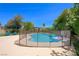 Backyard pool area featuring a black mesh safety fence and a view of mature trees and tropical palms at 335 Pleasant Summit Dr, Henderson, NV 89012