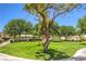Green space with trees and a pavilion at 45 Maleena Mesa St # 1321, Henderson, NV 89074