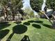 Community green space with lush grass and plenty of trees at 45 Maleena Mesa St # 1321, Henderson, NV 89074