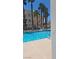 Community pool featuring palm trees and comfortable lounge chairs at 5000 Red Rock St # 248, Las Vegas, NV 89118