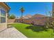 Well-kept backyard featuring artificial grass, a brick privacy wall, and a few palm trees at 6446 Button Quail St, North Las Vegas, NV 89084