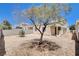 Expansive gravel backyard featuring a mature tree, block fence, and the exterior of the home with covered porch entry at 8233 Willeta Ave, Las Vegas, NV 89145