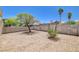This rock landscaped backyard is surrounded by a block wall and has desert trees at 8233 Willeta Ave, Las Vegas, NV 89145