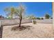 An enclosed backyard with a mature tree and a solid block wall to provide privacy at 8233 Willeta Ave, Las Vegas, NV 89145