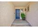 Inviting front entryway with a classic blue door and decorative potted plant at 9817 Dardanelle Ct, Las Vegas, NV 89117